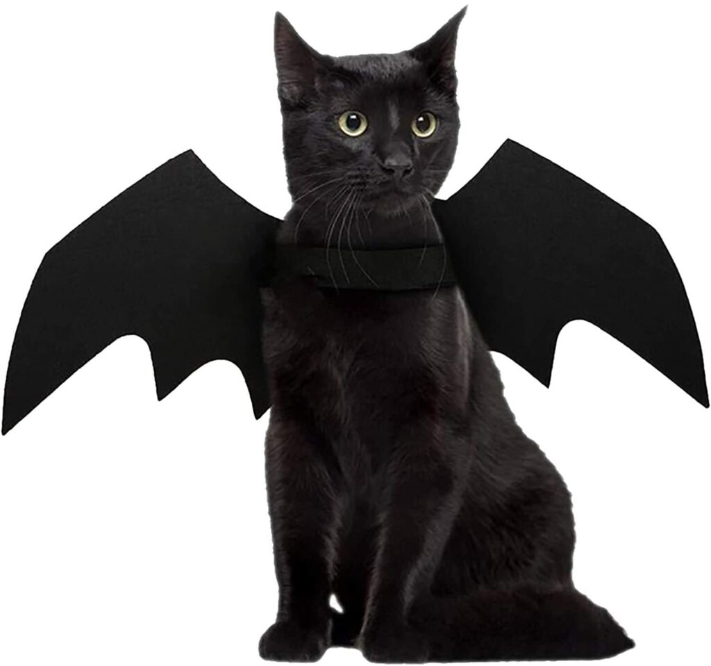 These bat wings make the cutest pet Halloween costume