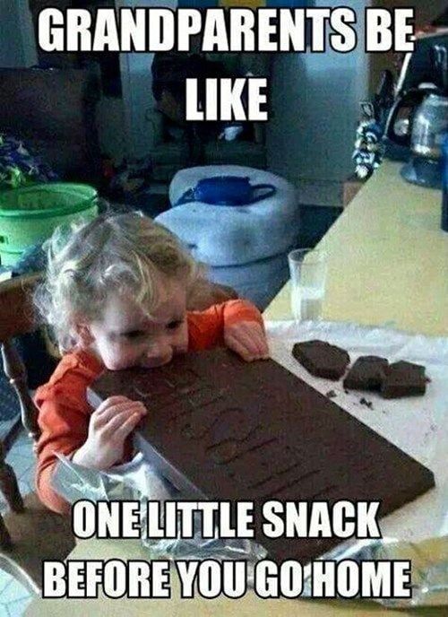 Memes for kids 24 hilariously funny kidfriendly memes