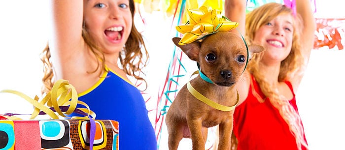12 Adorably Awesome Dog Birthday Party Ideas