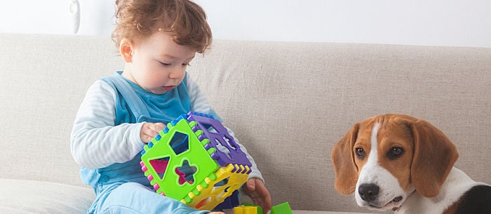 15 Best Toys for 9-Month-Old Babies