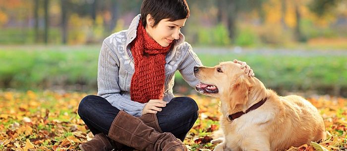 what causes rat tail in dogs