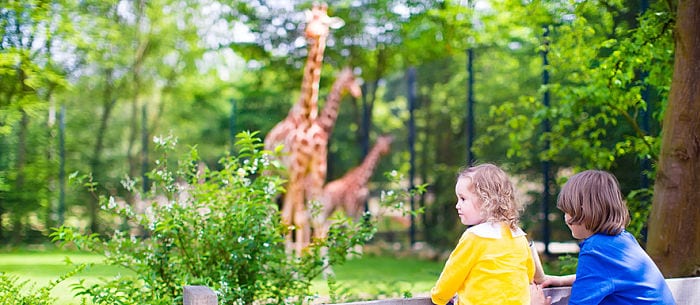 Does Your Child Have a Love of Animals? Here Are 101 Fun Things to Do!