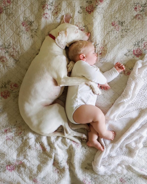 You’re Going to Love This Rescue Dog and Her Tiny Human