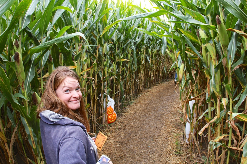 The 10 Best Corn Mazes Around Baltimore