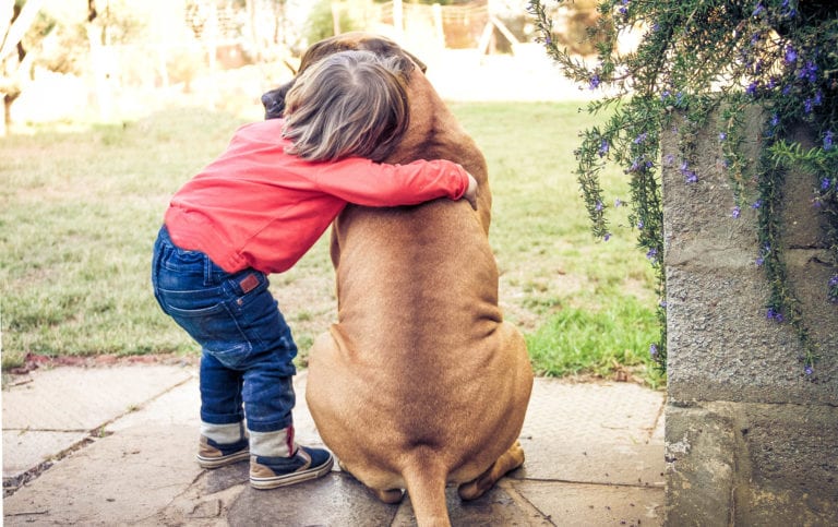 7 best guard dogs for families