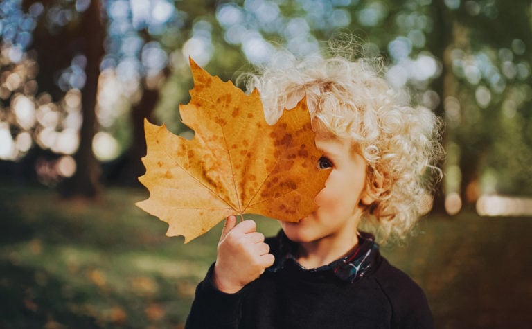 101 fun fall activities for kids