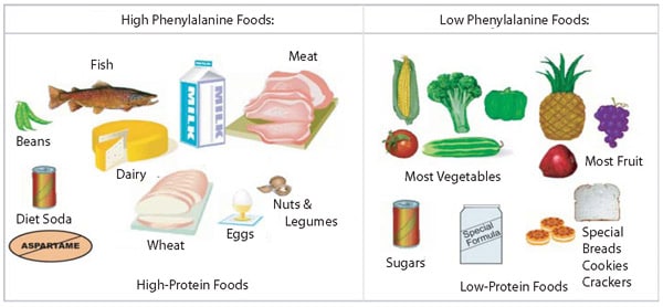 Foods not allowed in PKU Diet