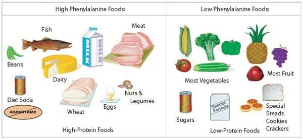 Foods not allowed in PKU Diet - Care.com Resources