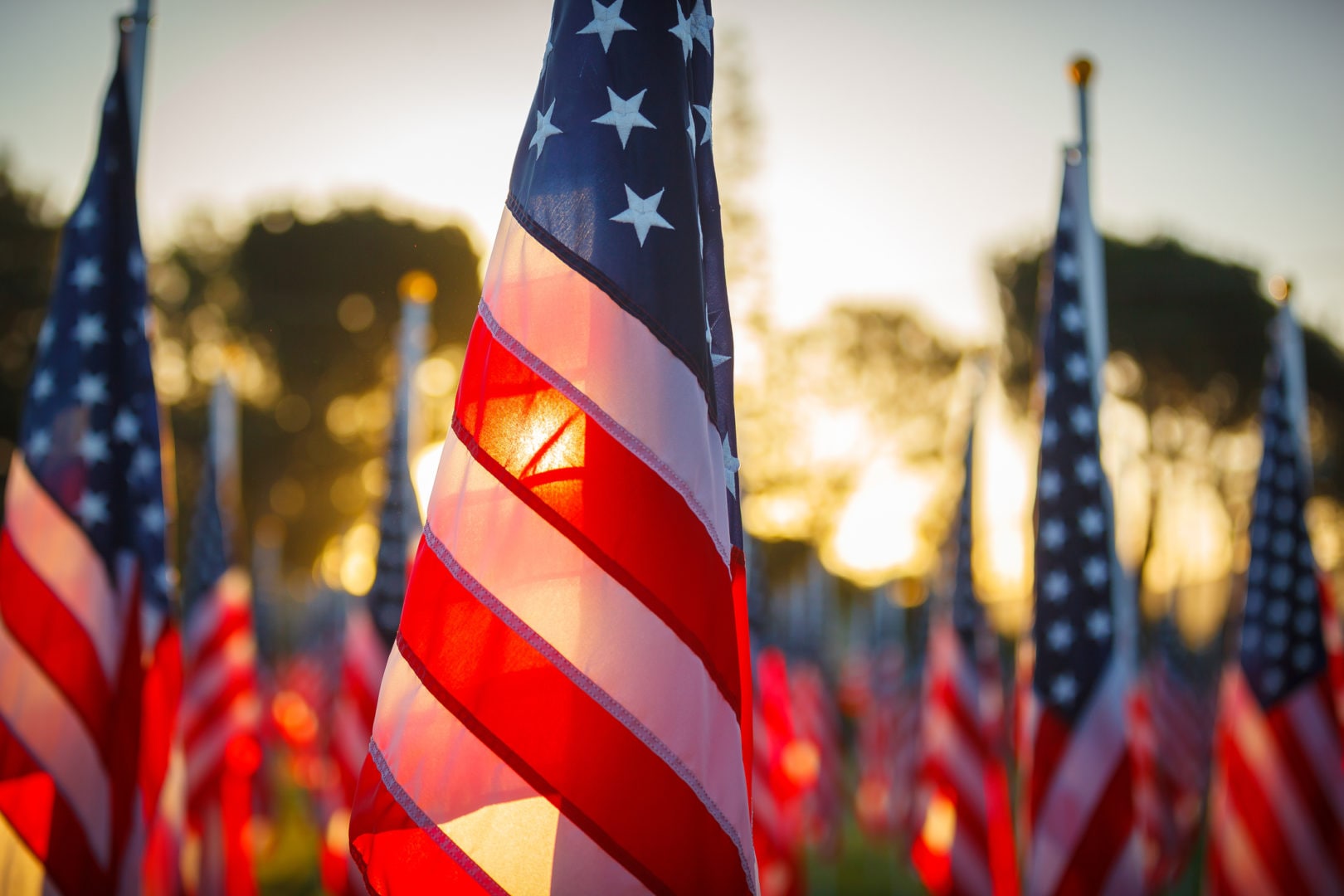 6 Veterans Day activities for kids