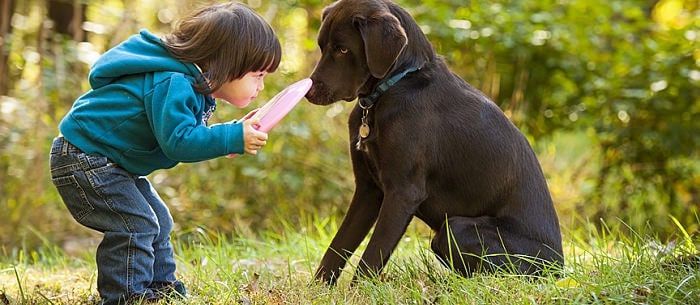 13 Fun Games Kids Can Play with Their Dogs