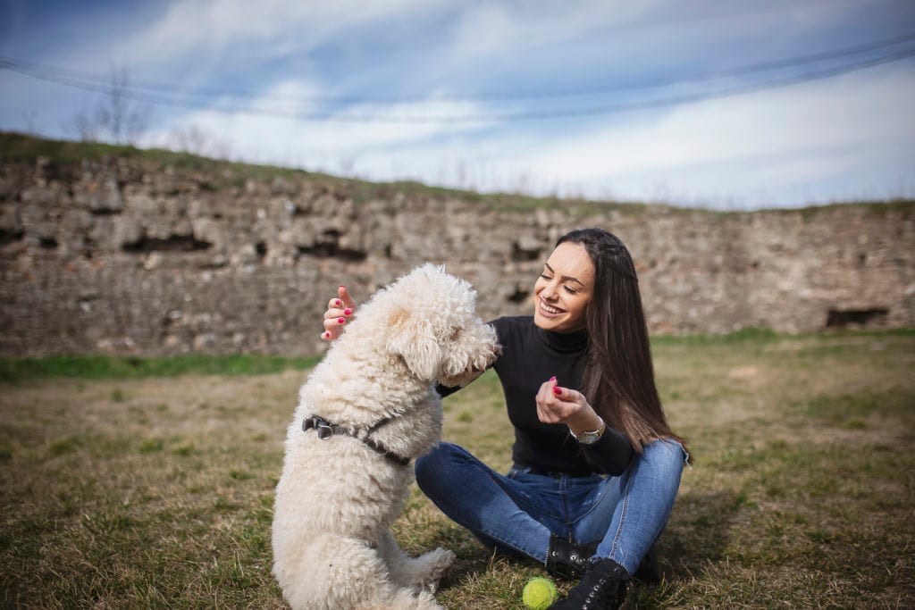 Understanding pet sitting certifications for sitters and dog walkers