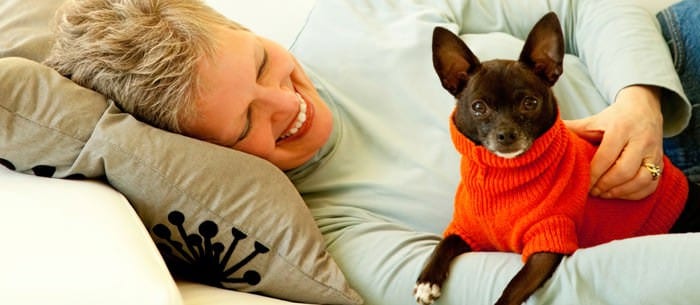 Treat Your Dog Like a Human Kid? Read This!