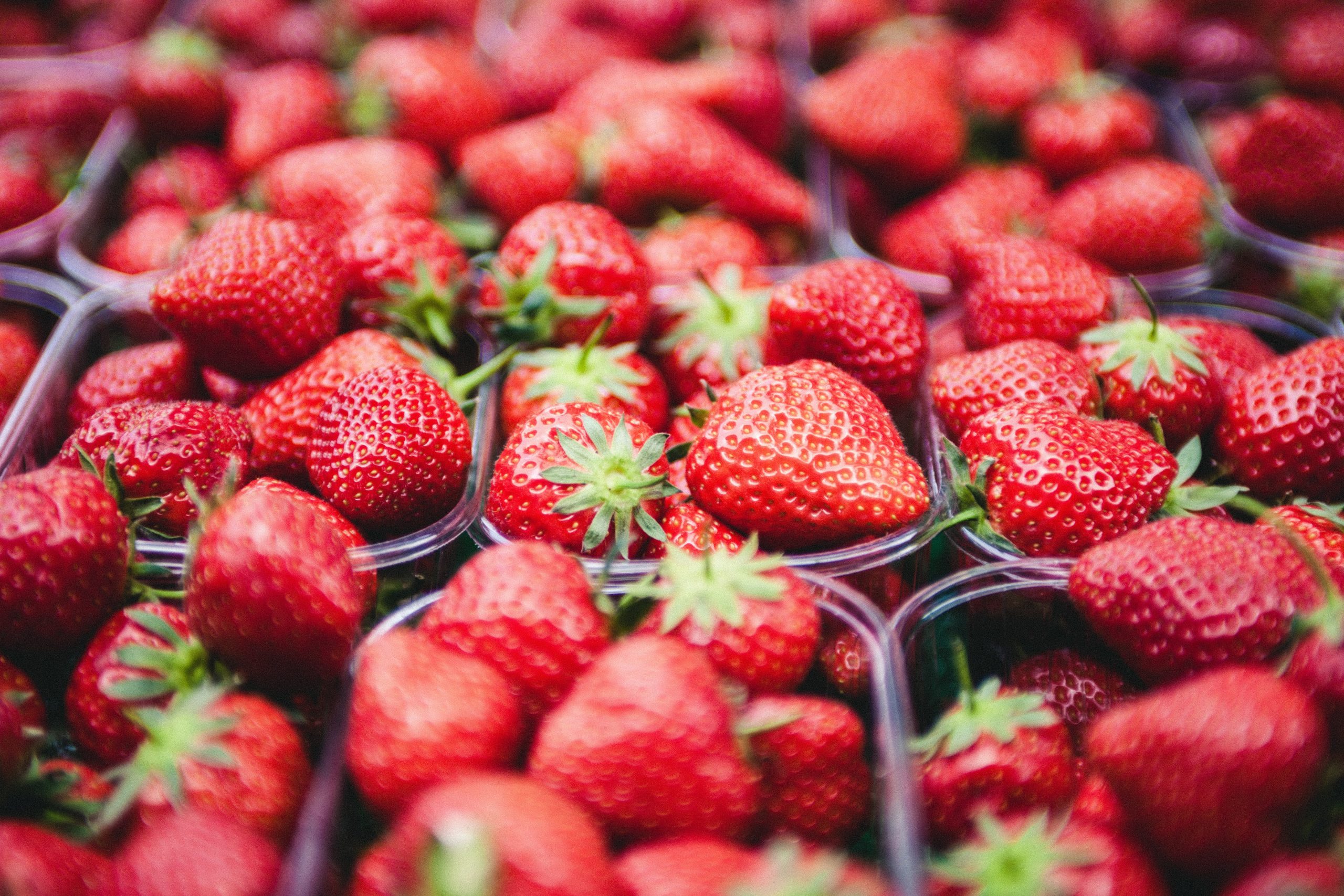 5 Fun Farms for Strawberry Picking in the Denver Area