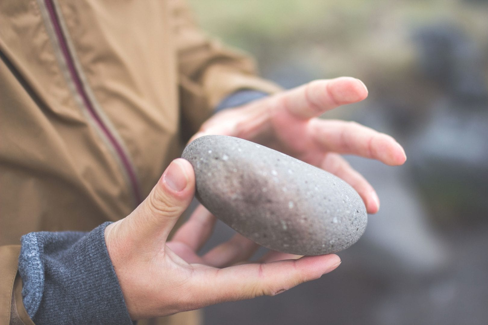 How To Have Fun With With Your Pet Rock