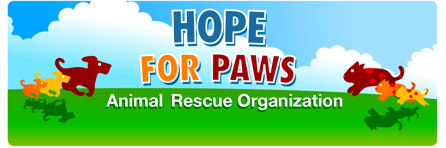 Hope for Paws Rescues Thousands of Dogs in Los Angeles
