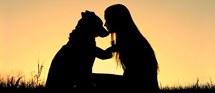 How Long Do Dogs Live, and Can Their Lives Be Prolonged?