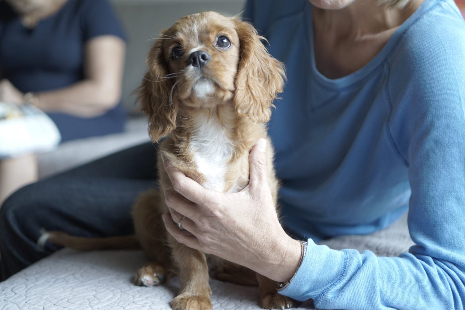 How Man’s Best Friend Can Help Ease Dementia Symptoms