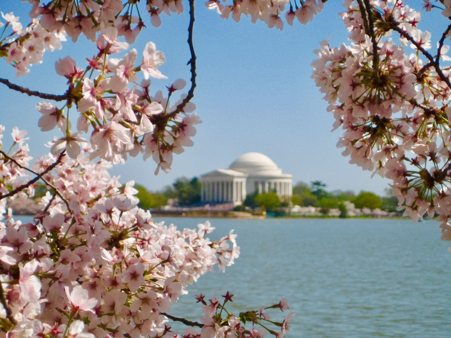 10 Free Things to Do in D.C. When Kids Say ‘I’m Bored’