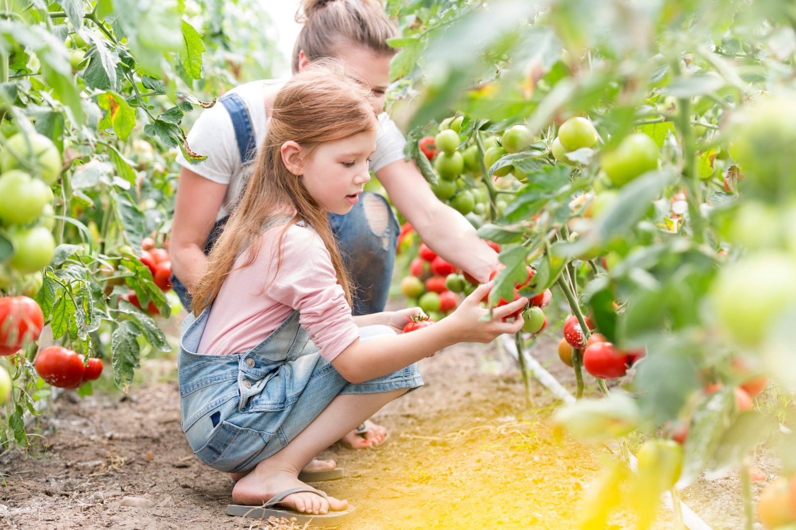 How to Grow a Family Garden