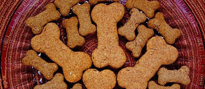 yummy dog treat recipes