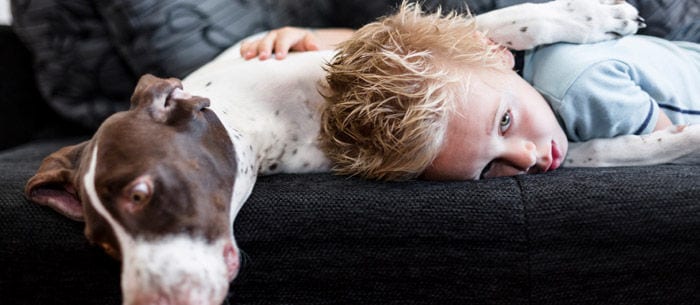 How to Choose the Right Pet for Your Family