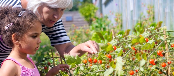 Nurturing the Grandparent Bond