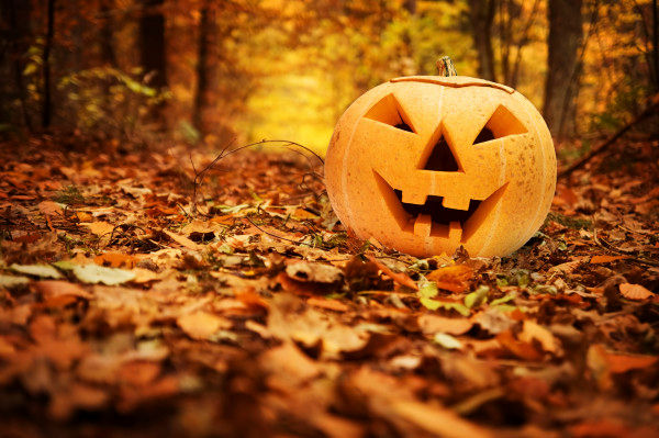 8 Ways to Teach the Meaning of Halloween