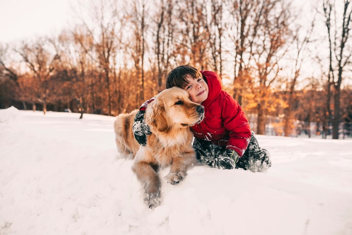 10 Tips for Keeping Your Pet Safe This Winter
