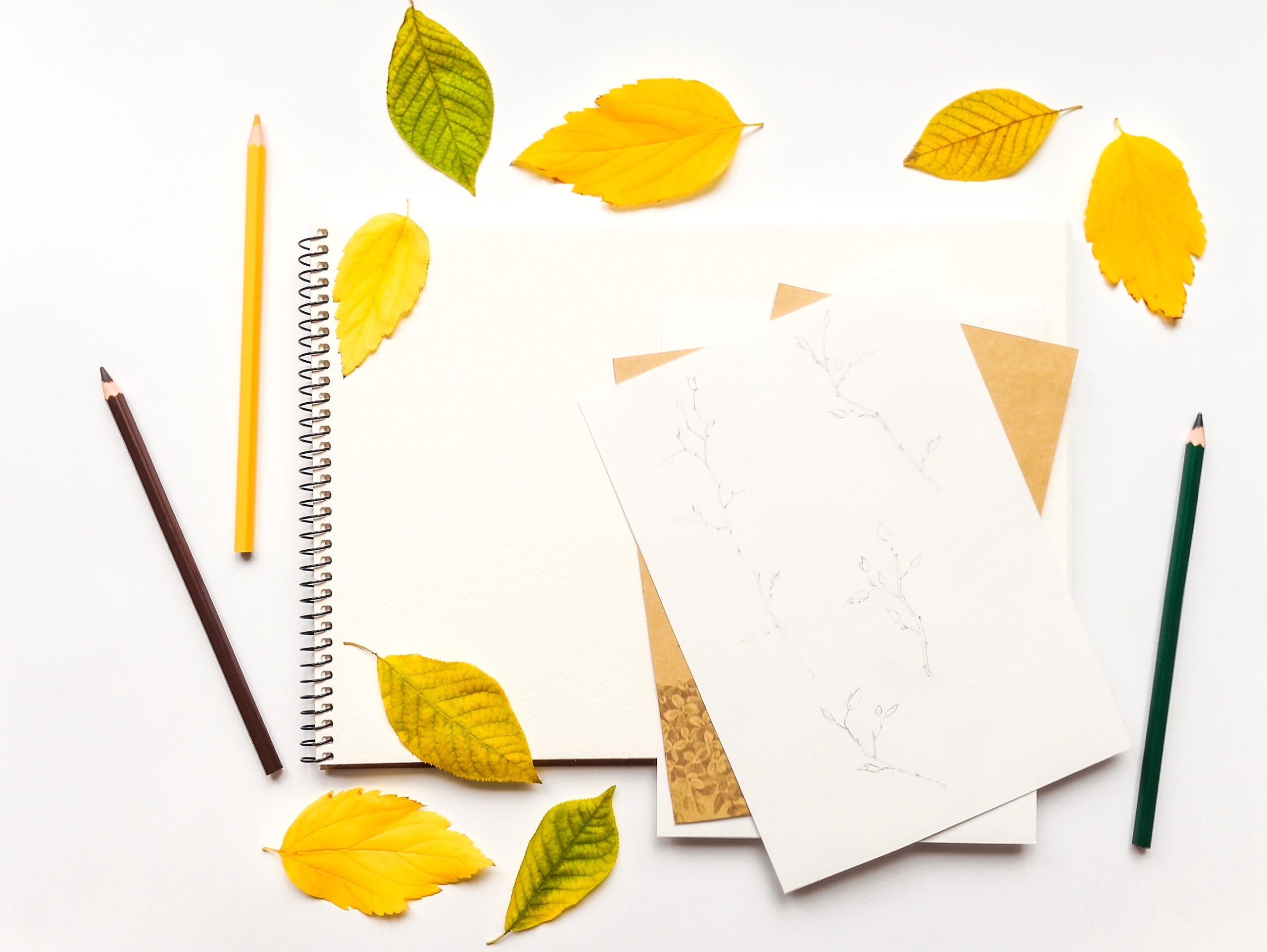 9 Steps to Creating an Autumnal Herbarium