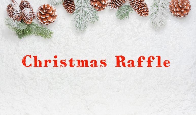 Care.com’s Ultimate Sustainable Christmas Raffle