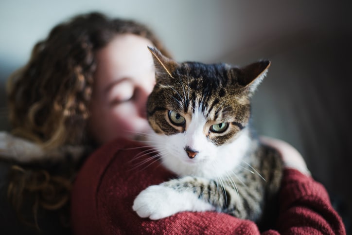 How to Handle These 7 Cat Behaviour Problems