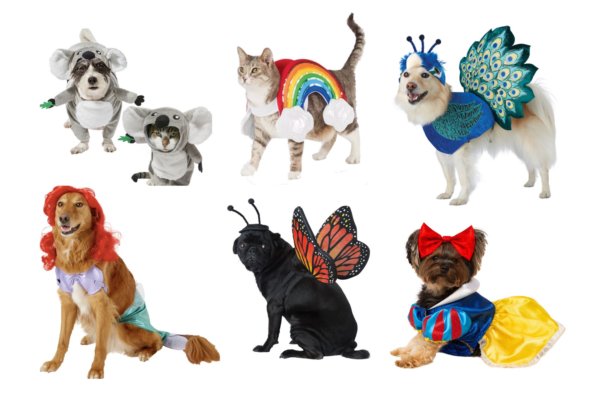 Pet Halloween costumes: 20 of the cutest options