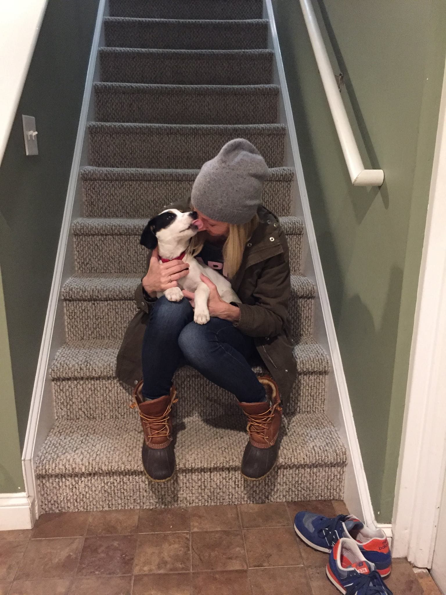‘How I Met My Dog’ Is the Tinder of Pet Adoption