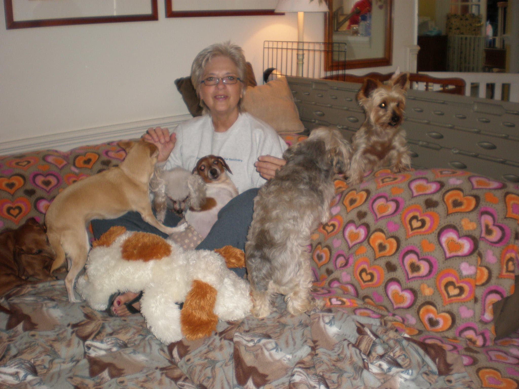 Animal Lover Turns Home Into Sanctuary for Senior Pooches