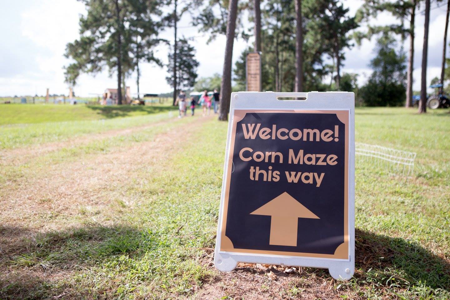 5 Great Houston-Area Corn Mazes to Visit This Fall