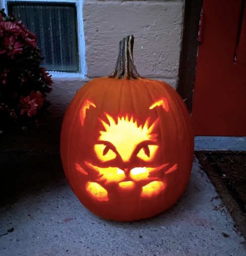 cat face pumpkin