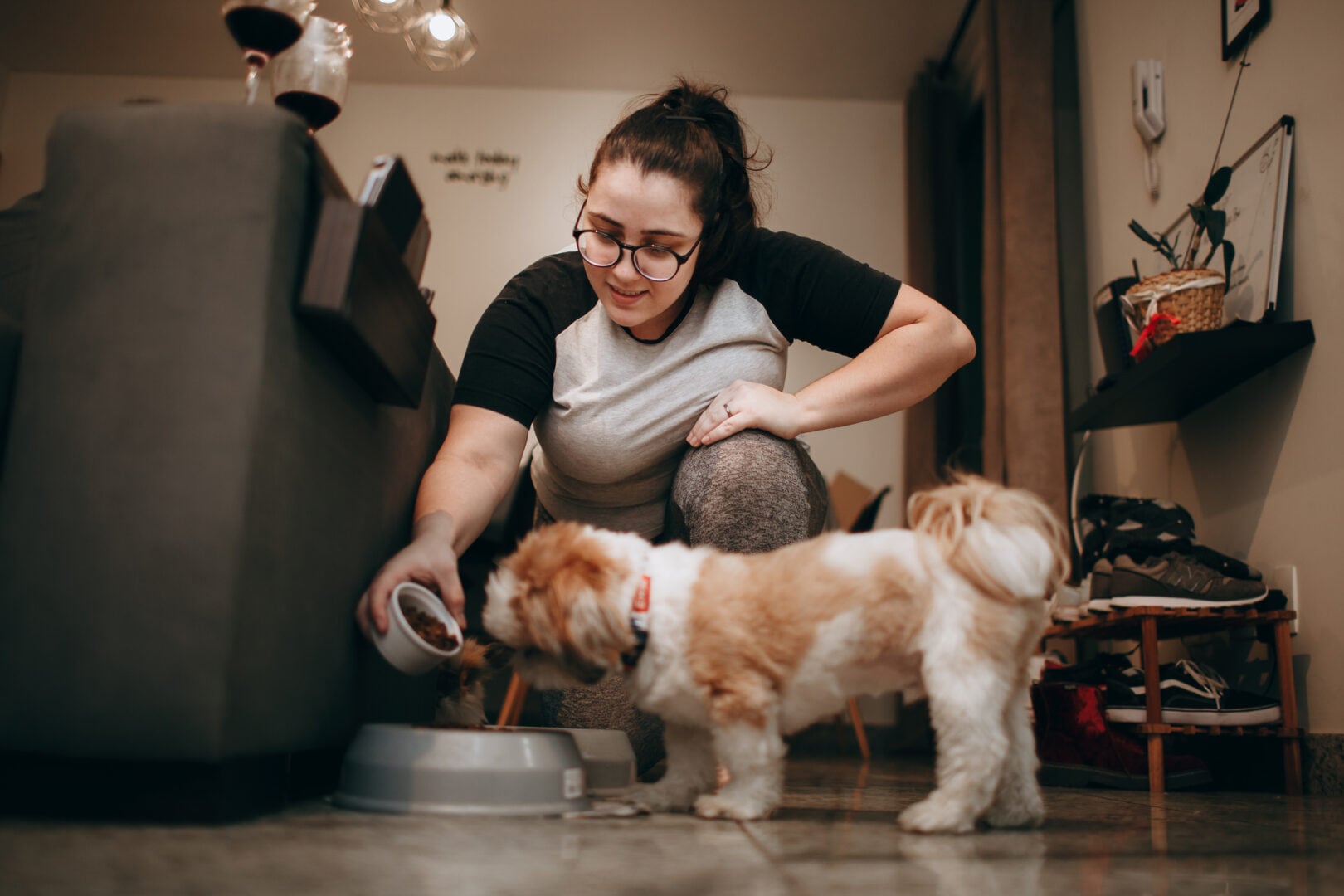 11 steps to starting your own pet care business