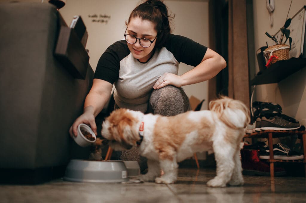 Pet sitter feeding small dog at home