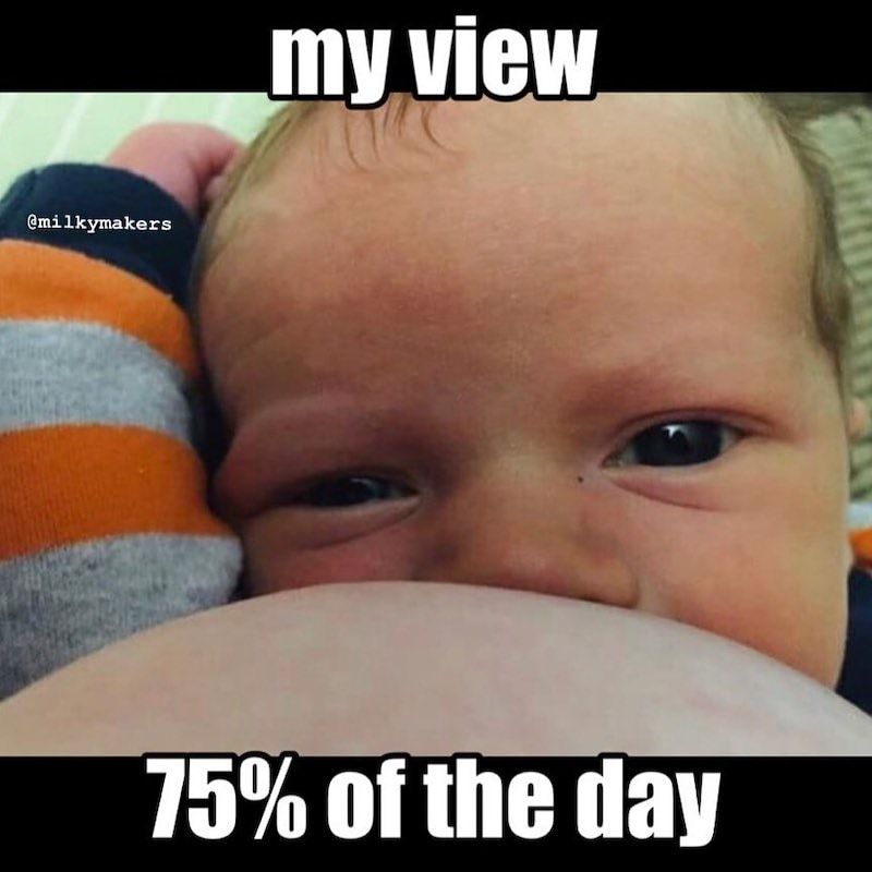 Need A Laugh Here Are 26 Funny Breastfeeding Memes