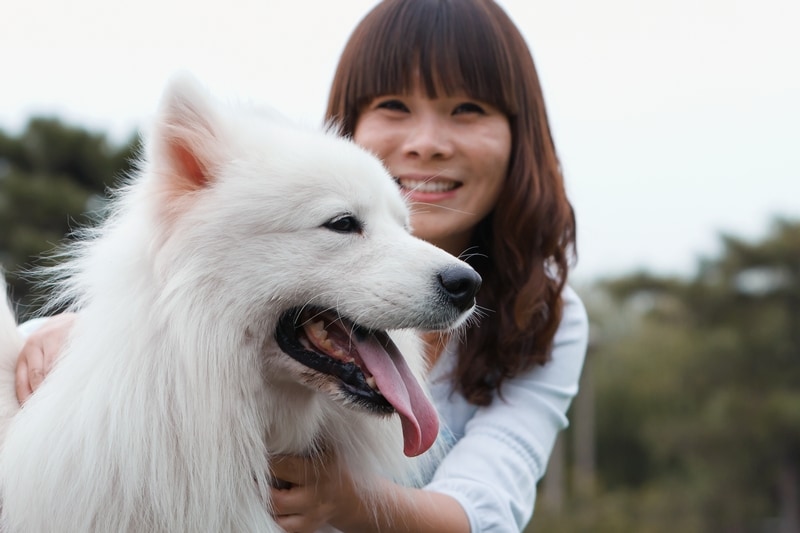 Interviewing Pet Caregivers