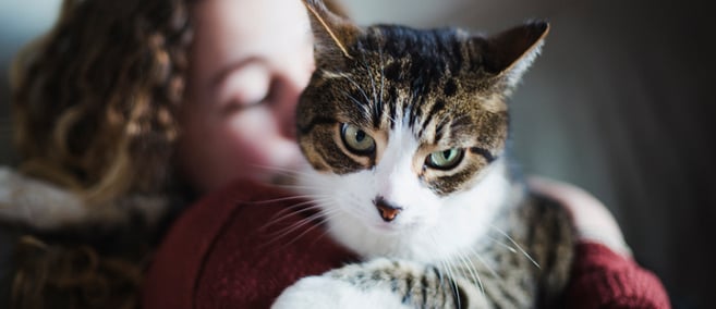 6 Ways Cats Make Great Pets