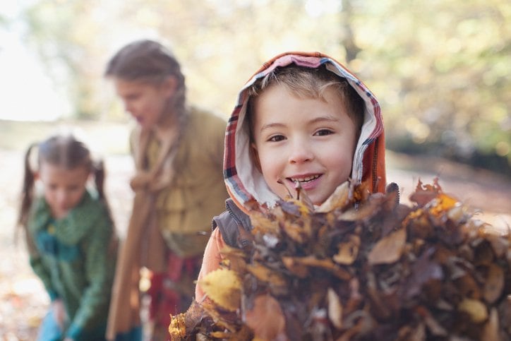 fall gardening