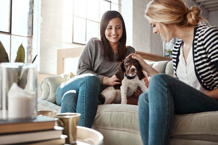 These are the top pet sitter interview questions, according to experts -  Care.com Resources
