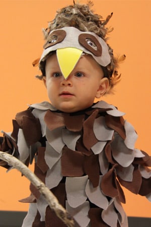 Easy Halloween Costume for a Group: Angry Birds