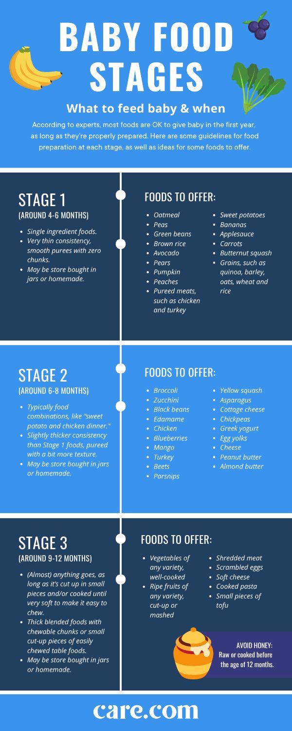 Baby Food Stages