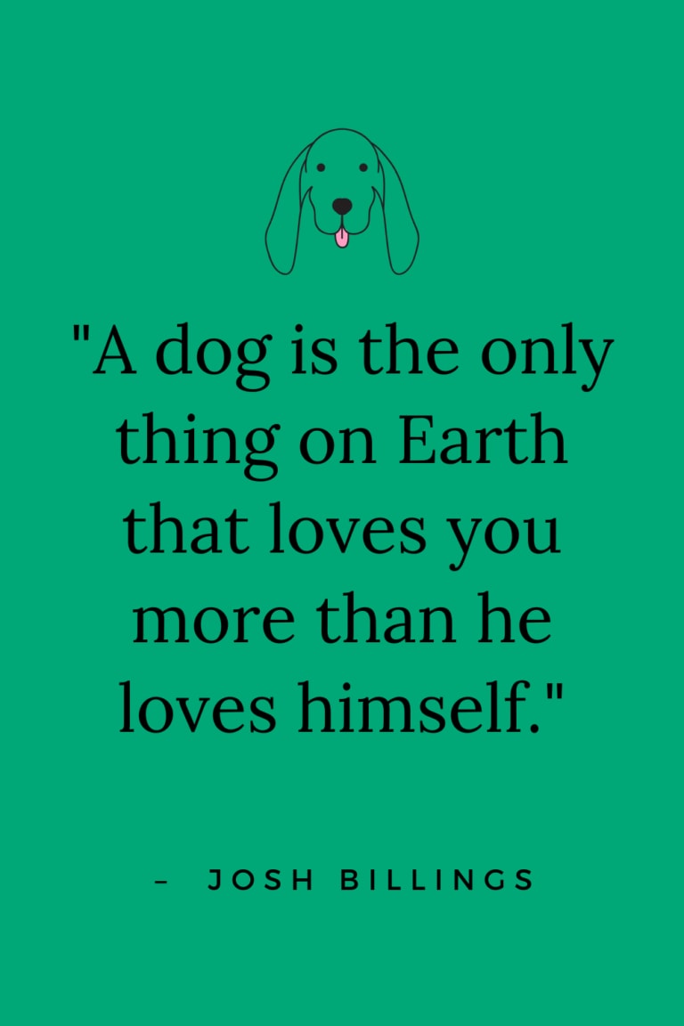 The 101 best dog quotes - Care.com Resources