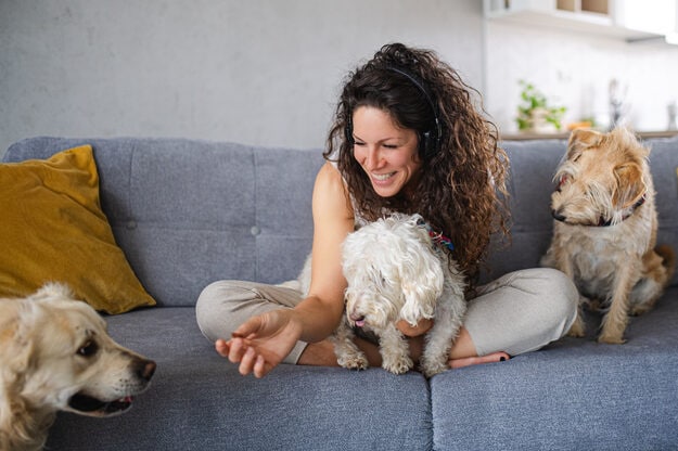 Overnight pet sitting: The must-knows of hiring nighttime care for your furry friend