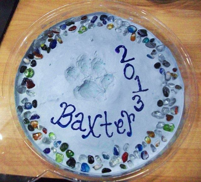 8 easy DIY dog paw print art projects -  Resources