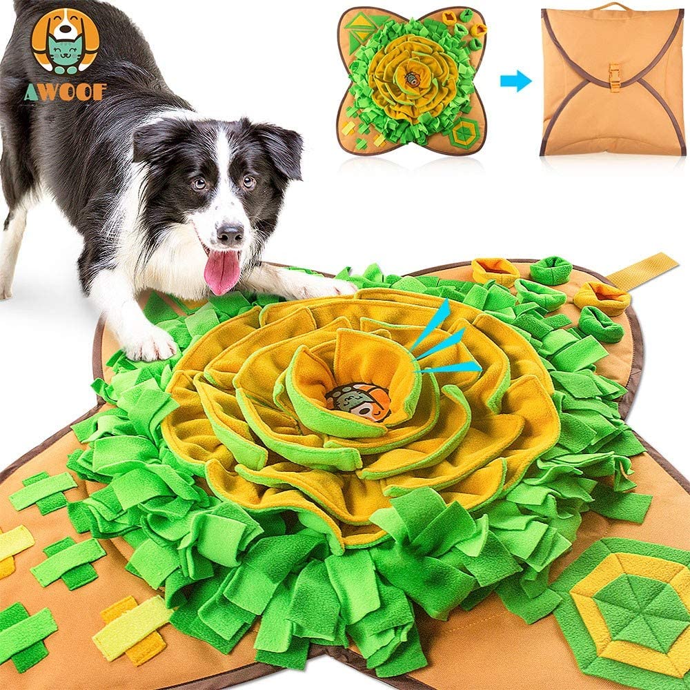 Best toys for dogs recommended by experts