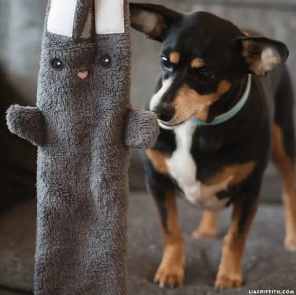 18 DIY dog toys you can make from items in your house Care Resources